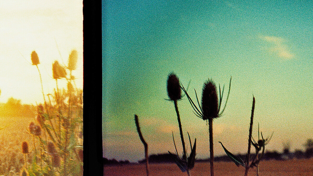FREELENS-Ausstellung freiberuflicher Fotografen zur Freiheit